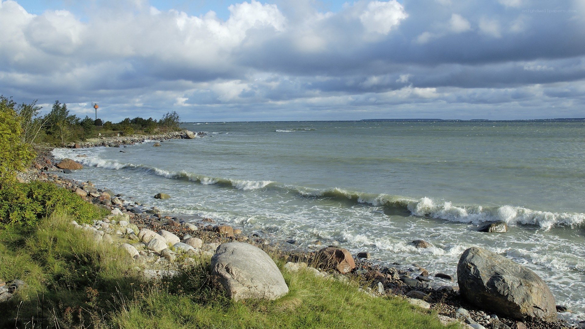 coastal rocks and waves
