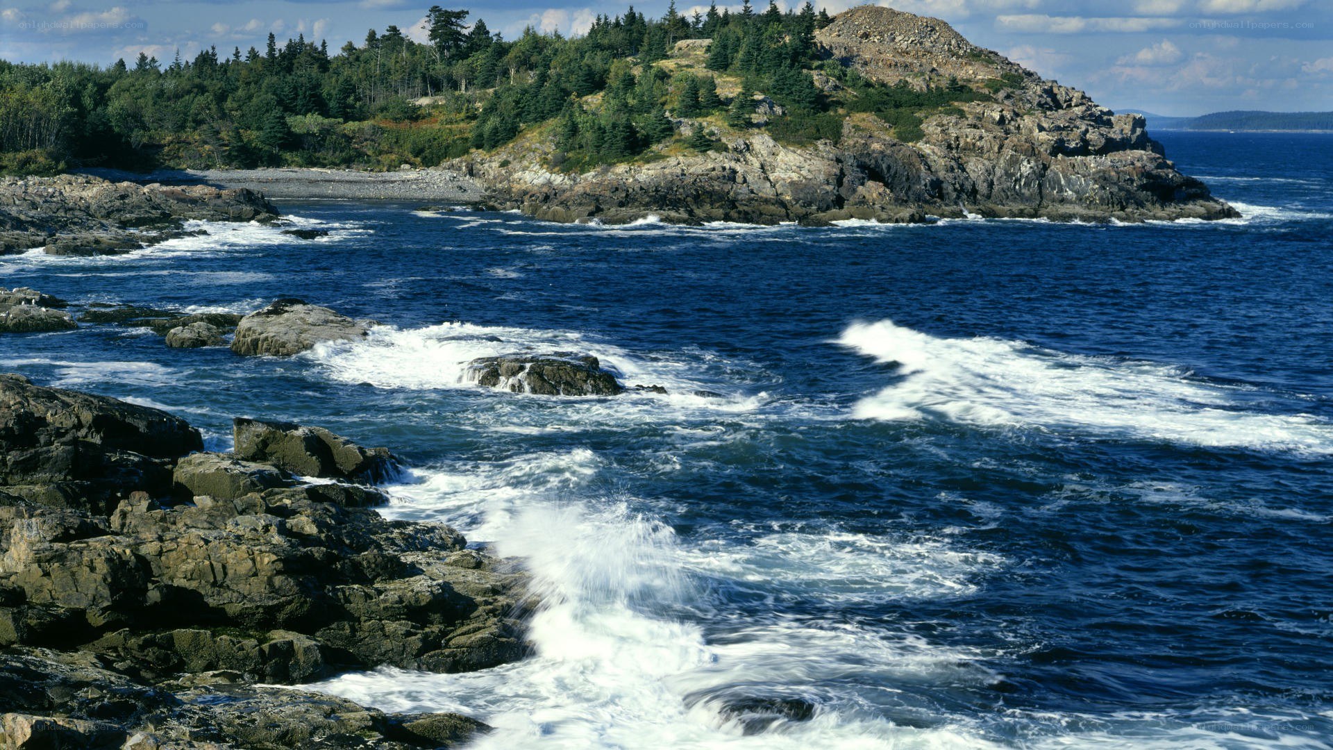 coastal rocks and waves