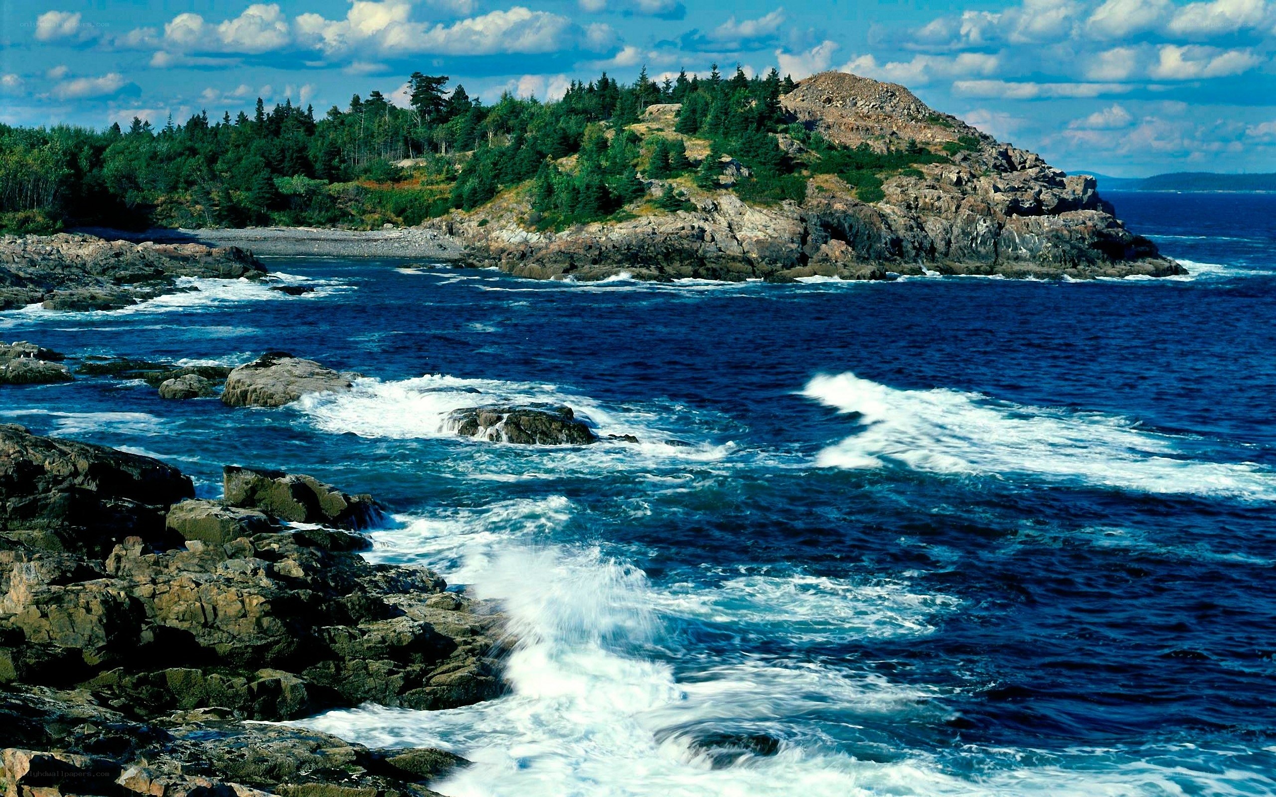coastal rocks and waves