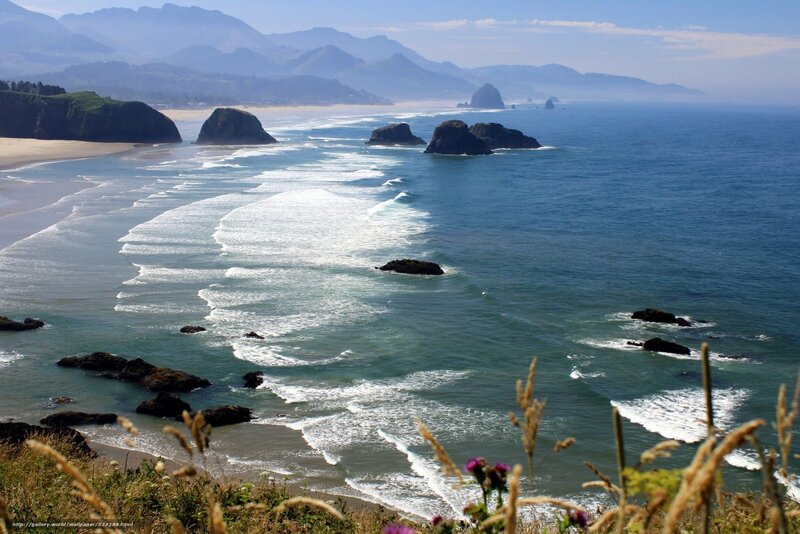 coastal rocks and waves