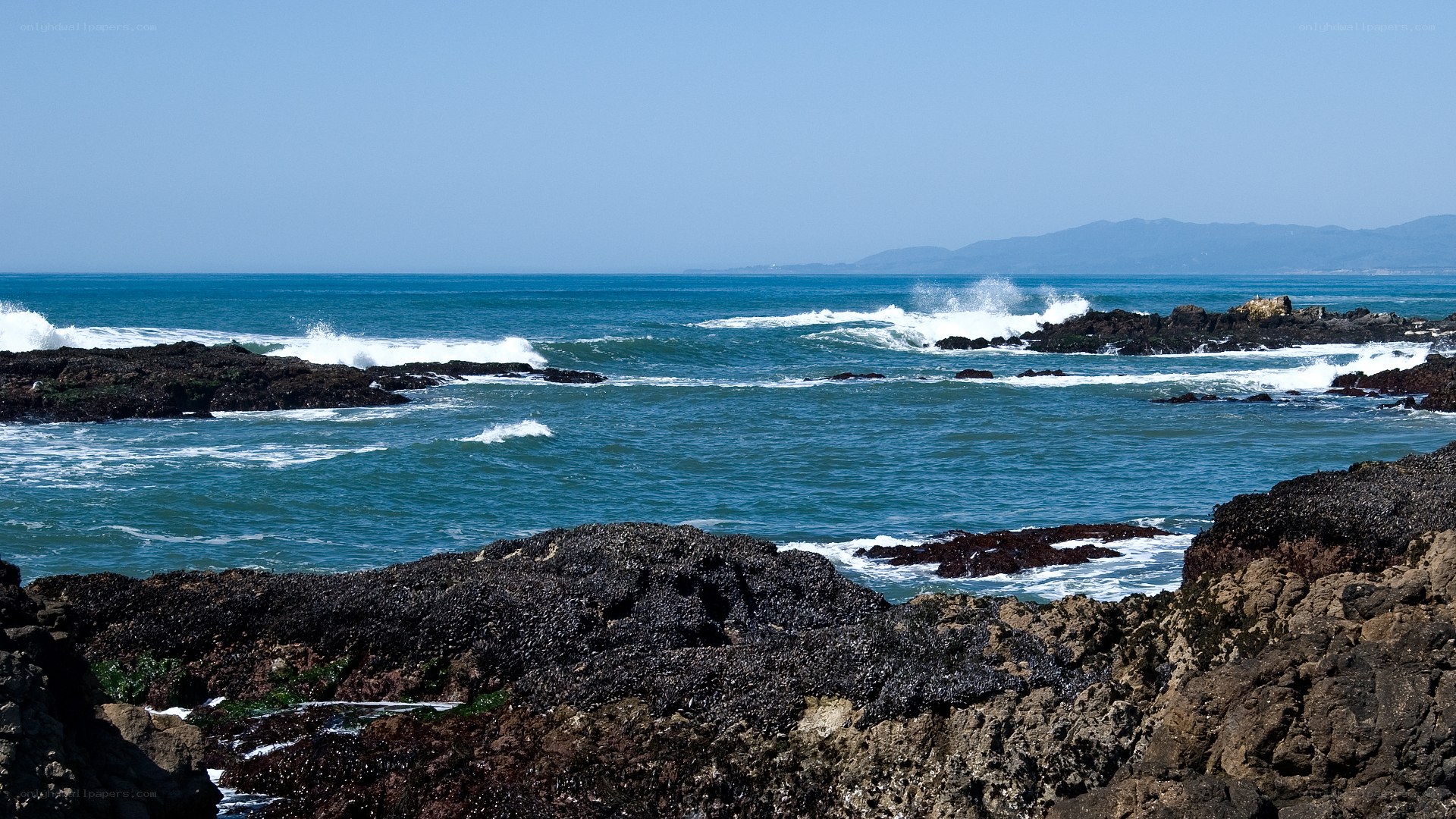 coastal rocks and waves