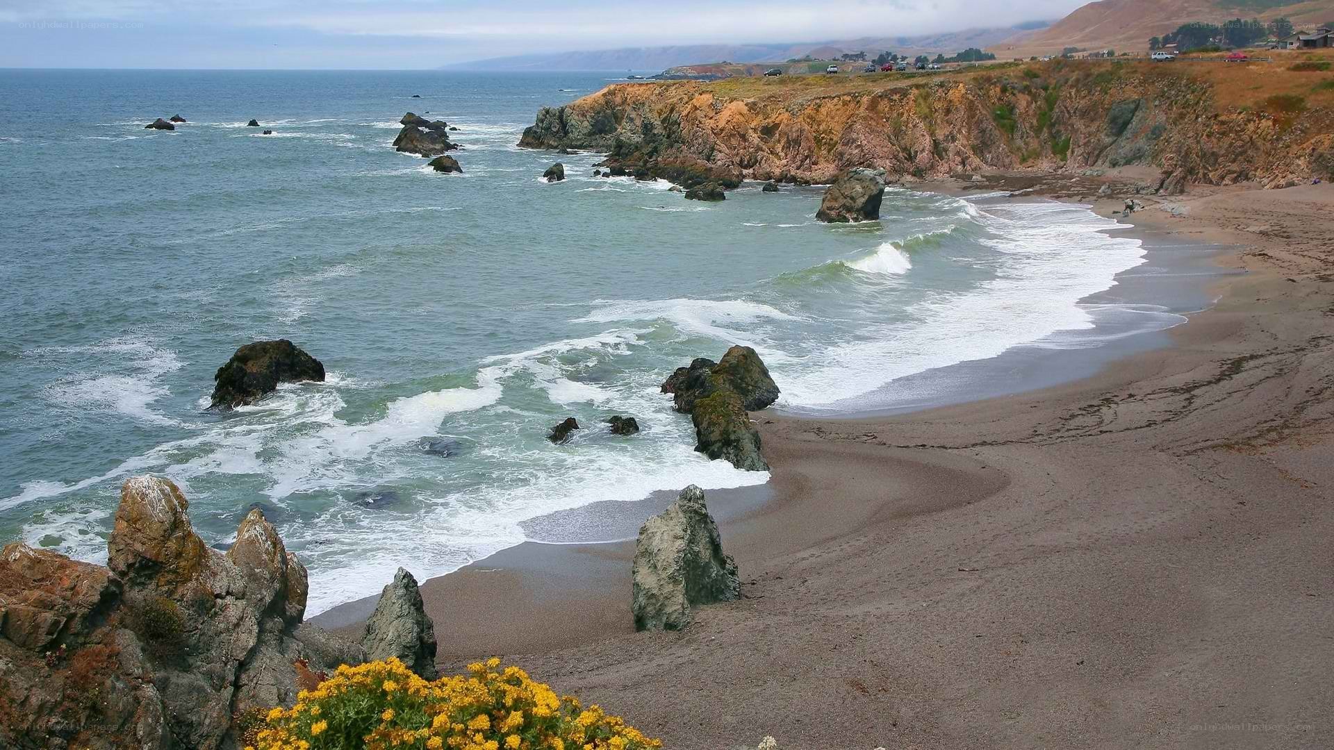 coastal rocks and waves