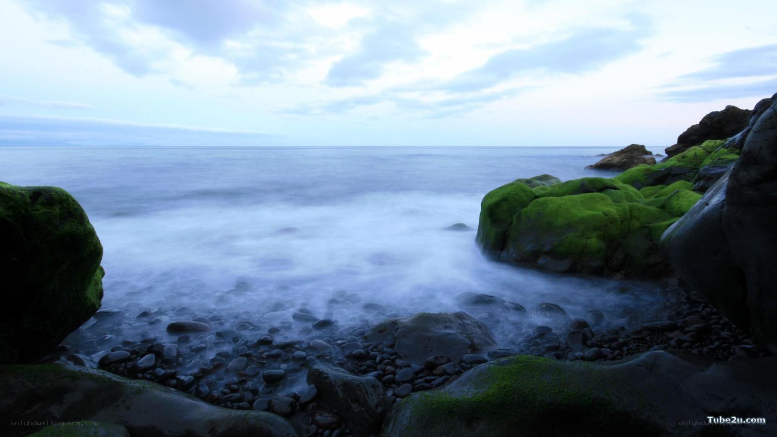 coastal rocks at dawn
