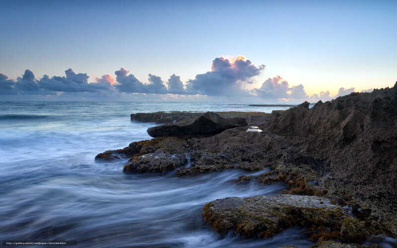 coastal rocks at dawn