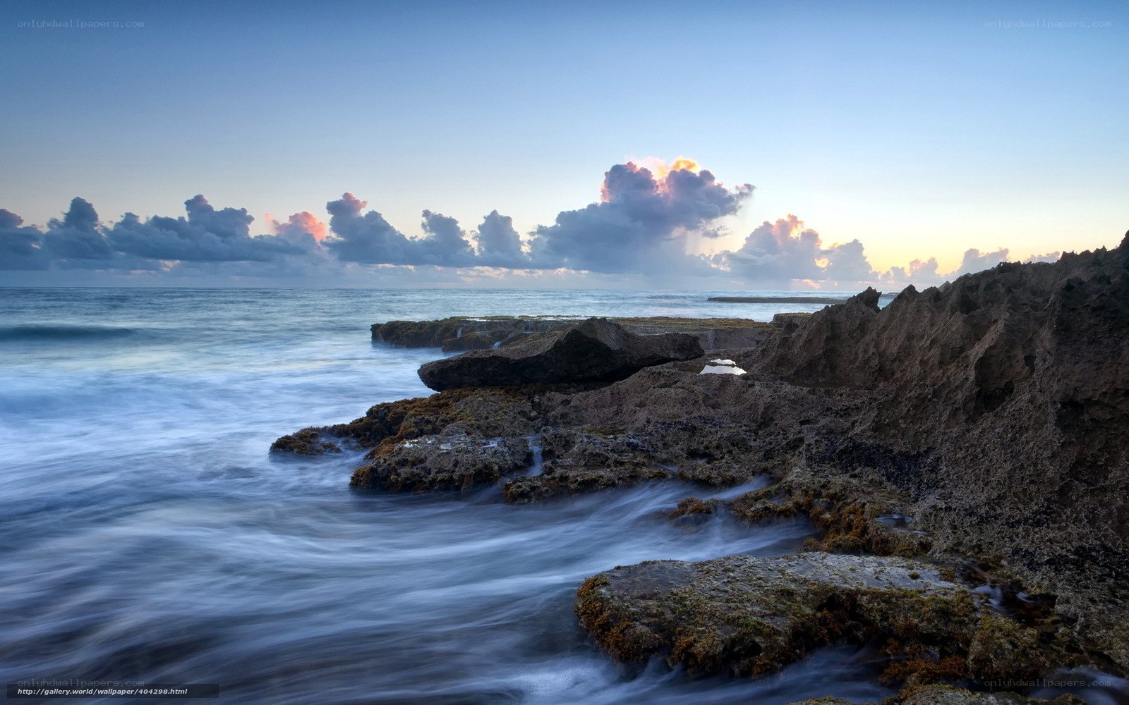 coastal rocks at dawn