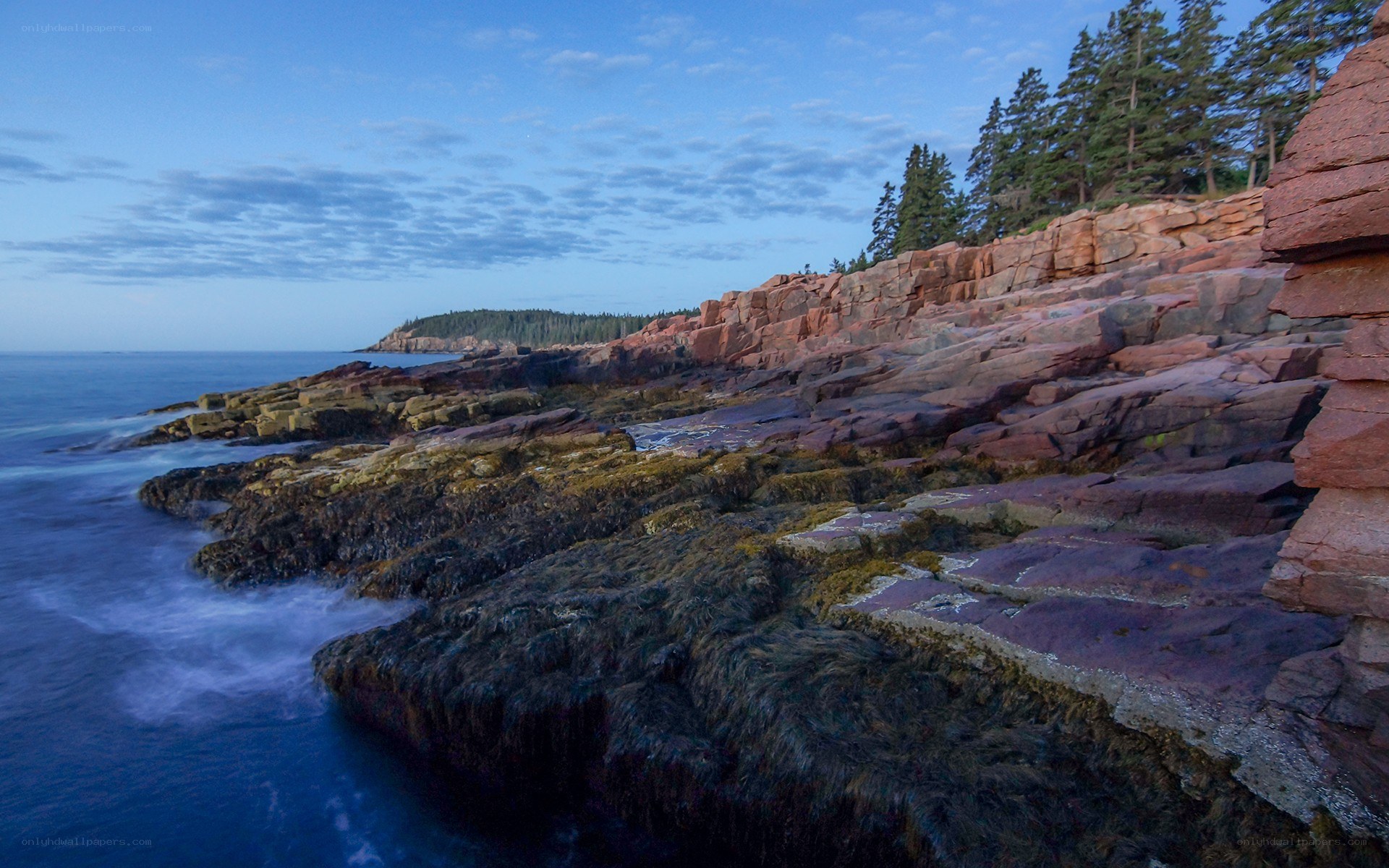 coastal rocks at dusk