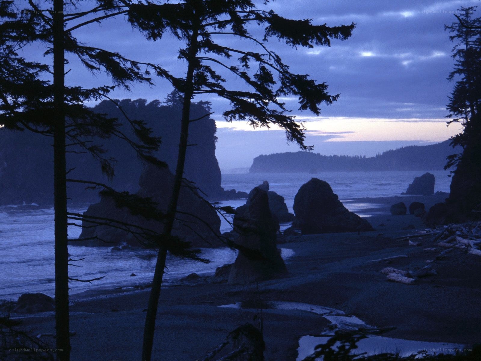 coastal rocks at dusk