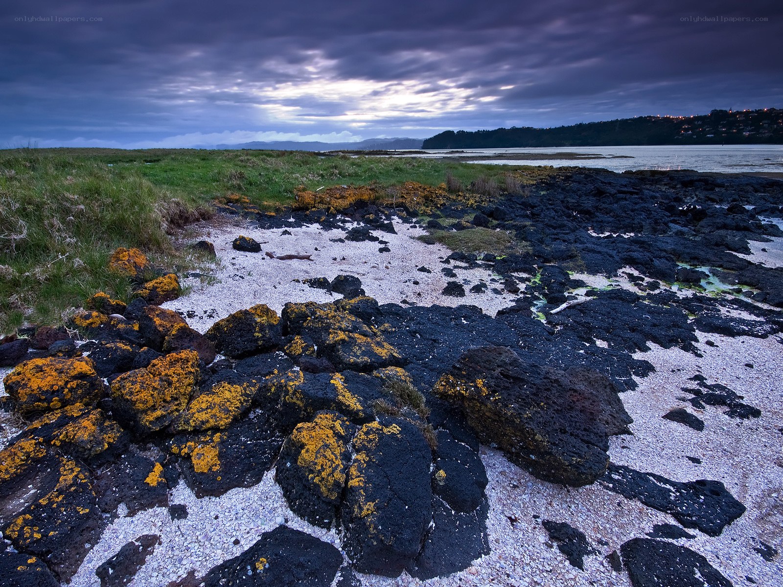 coastal rocks at dusk