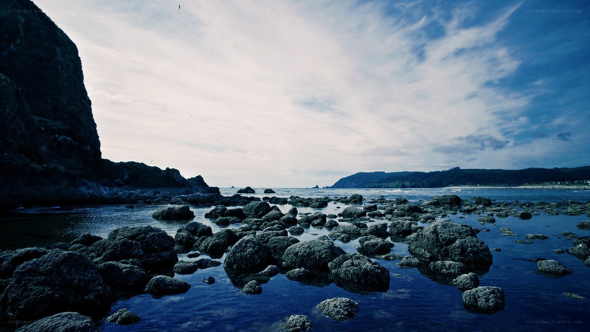 coastal rocks at low tide