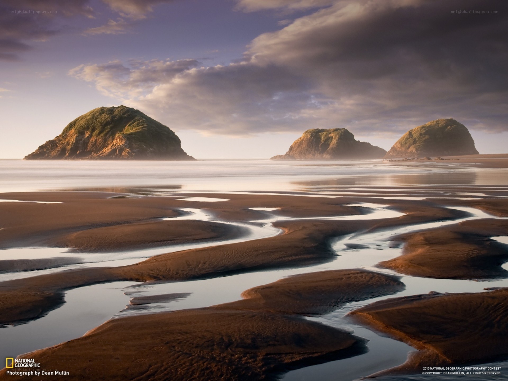 Coastal rocks at low tide