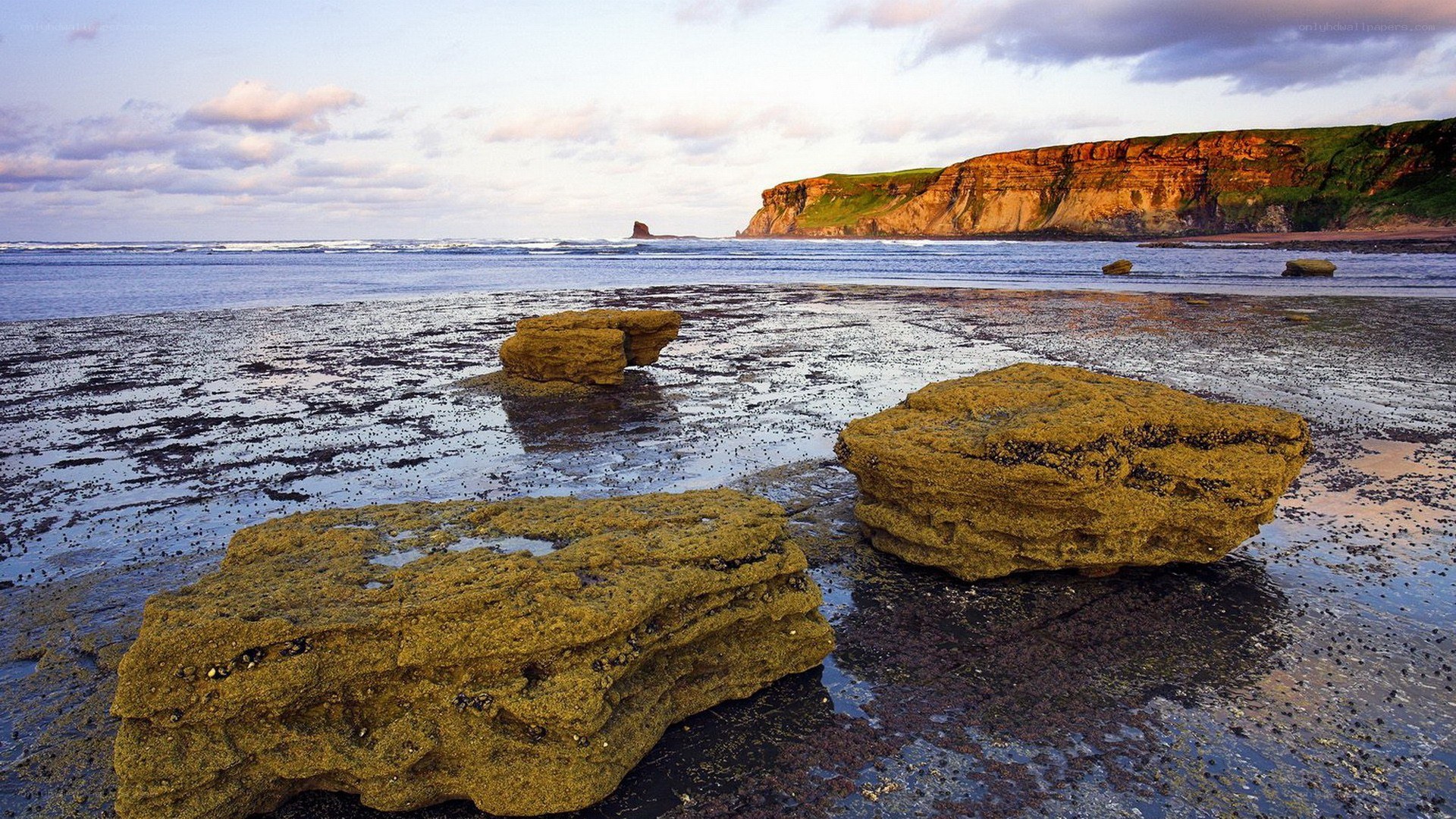 coastal rocks at low tide