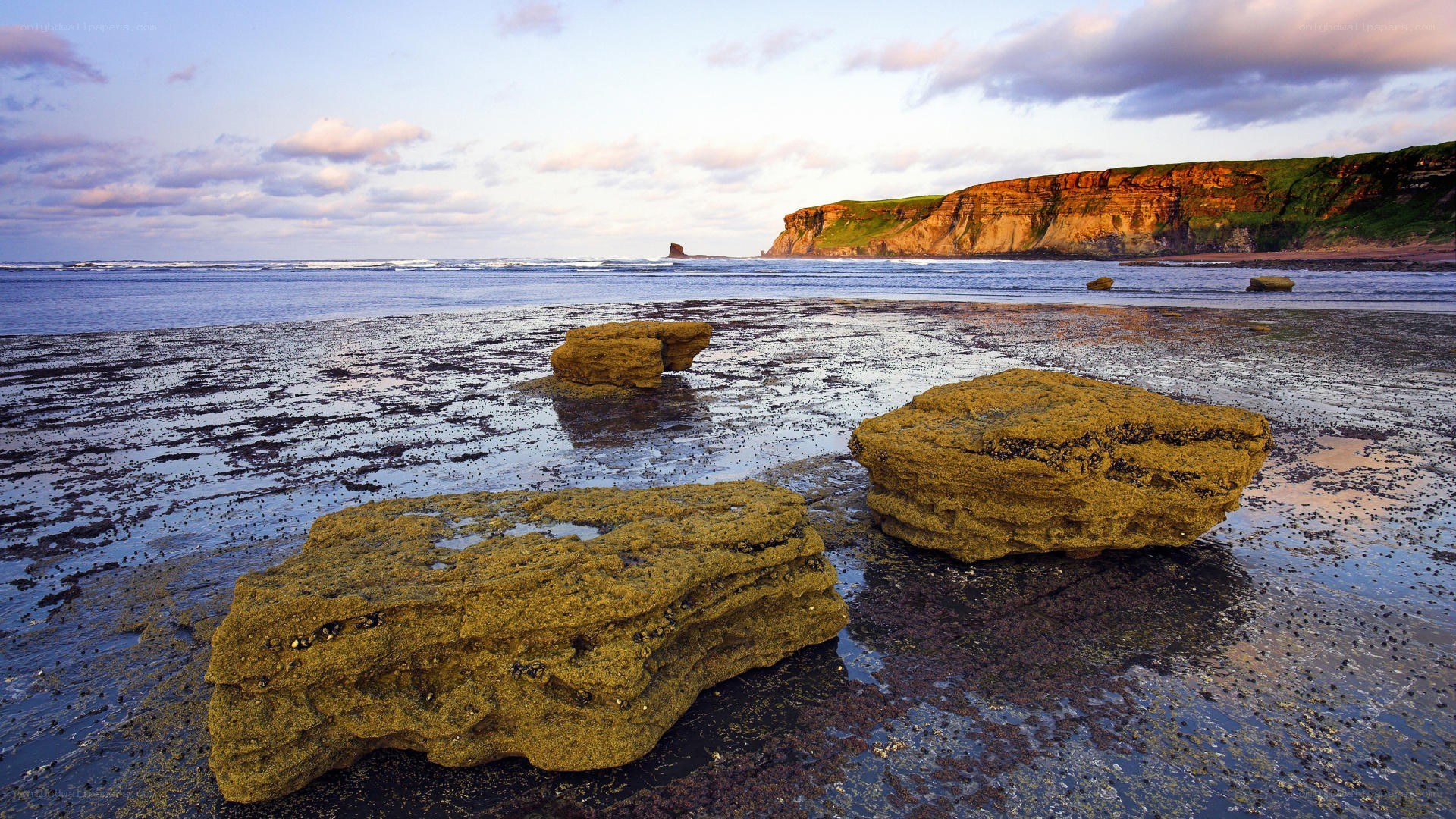 coastal rocks at low tide