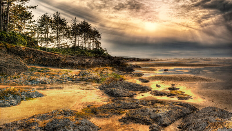 Coastal Rocks at Low Tide — Brown