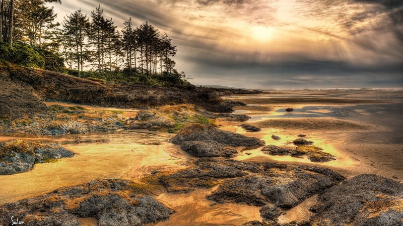 Coastal Rocks at Low Tide — Gold