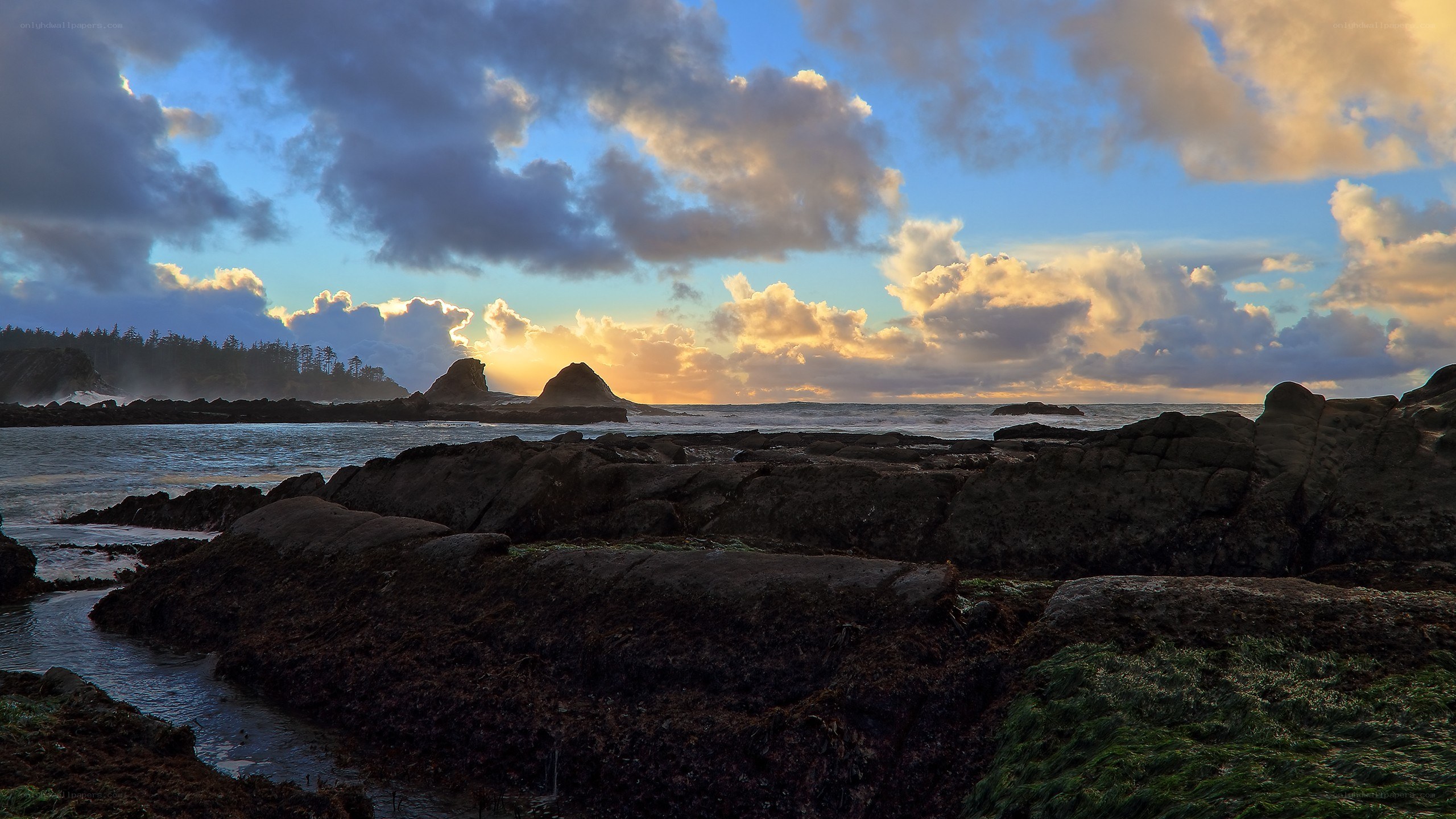 coastal rocks at sunset
