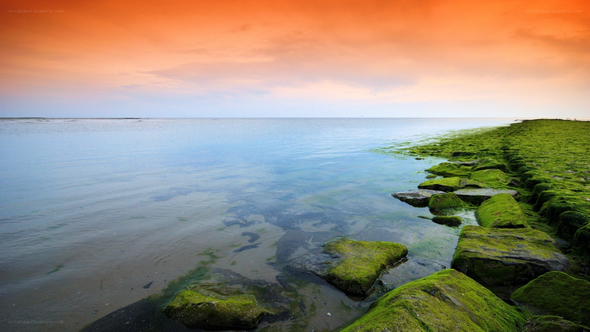 coastal rocks at sunset