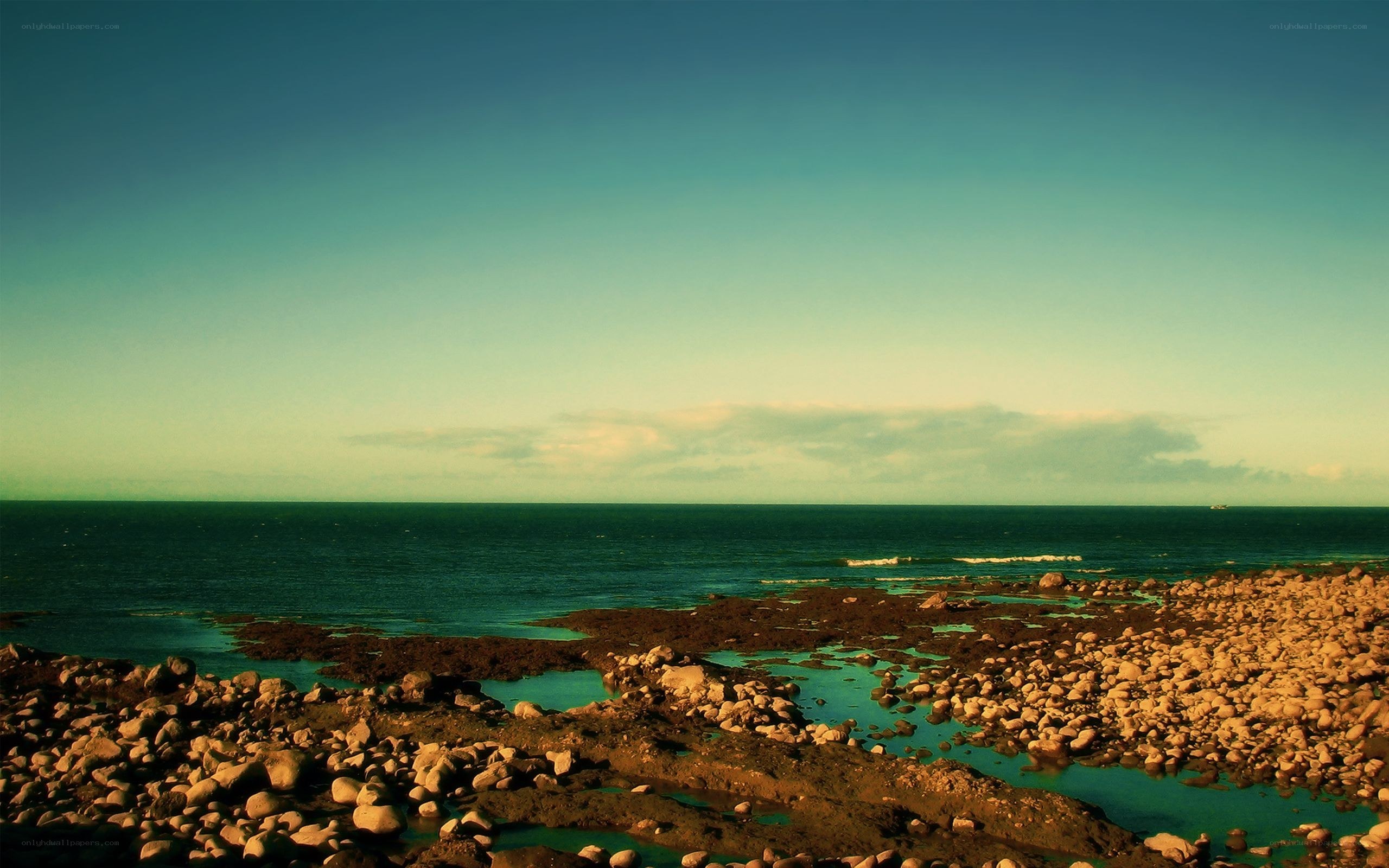 coastal rocks at sunset