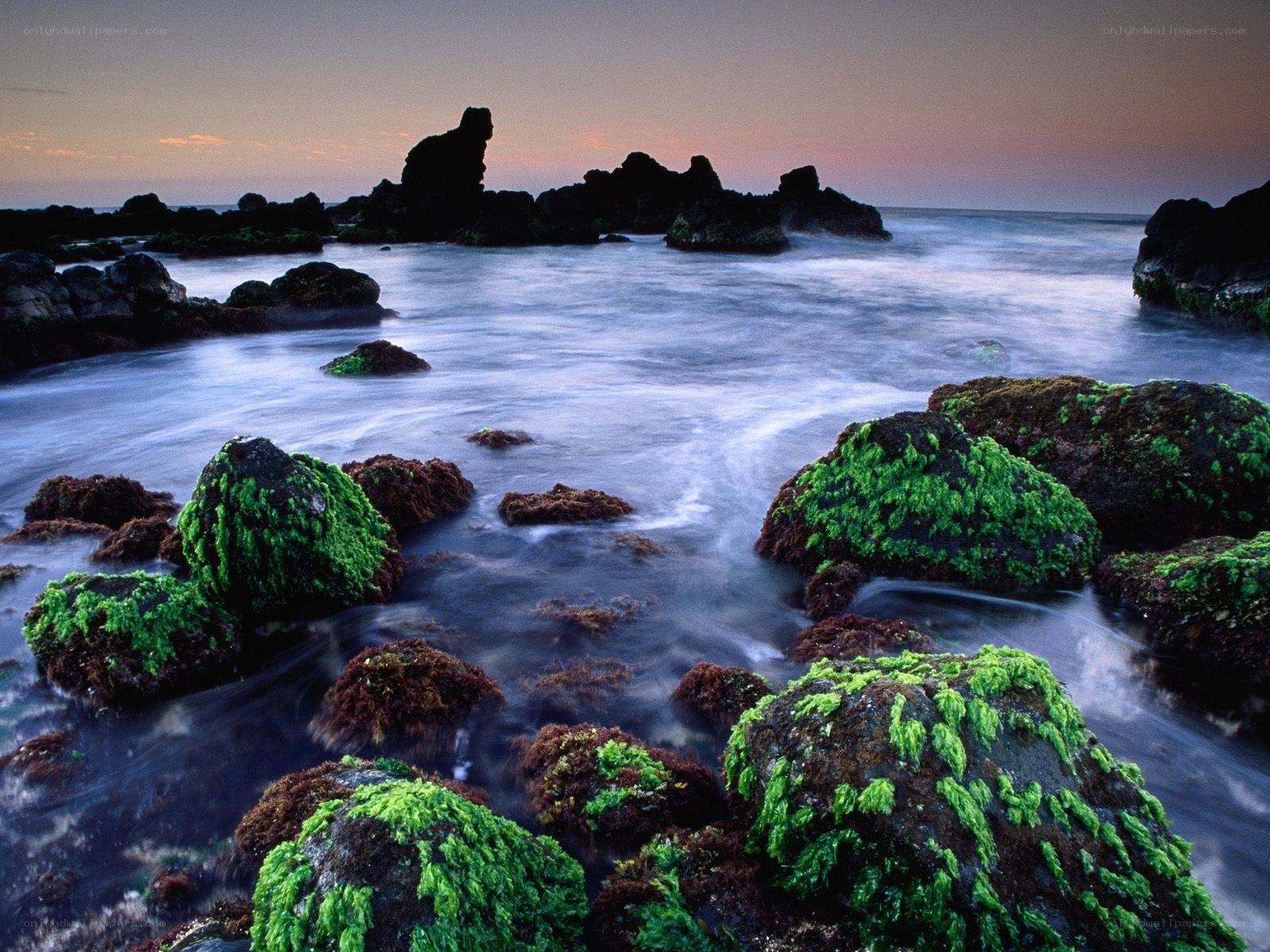 coastal rocks at sunset