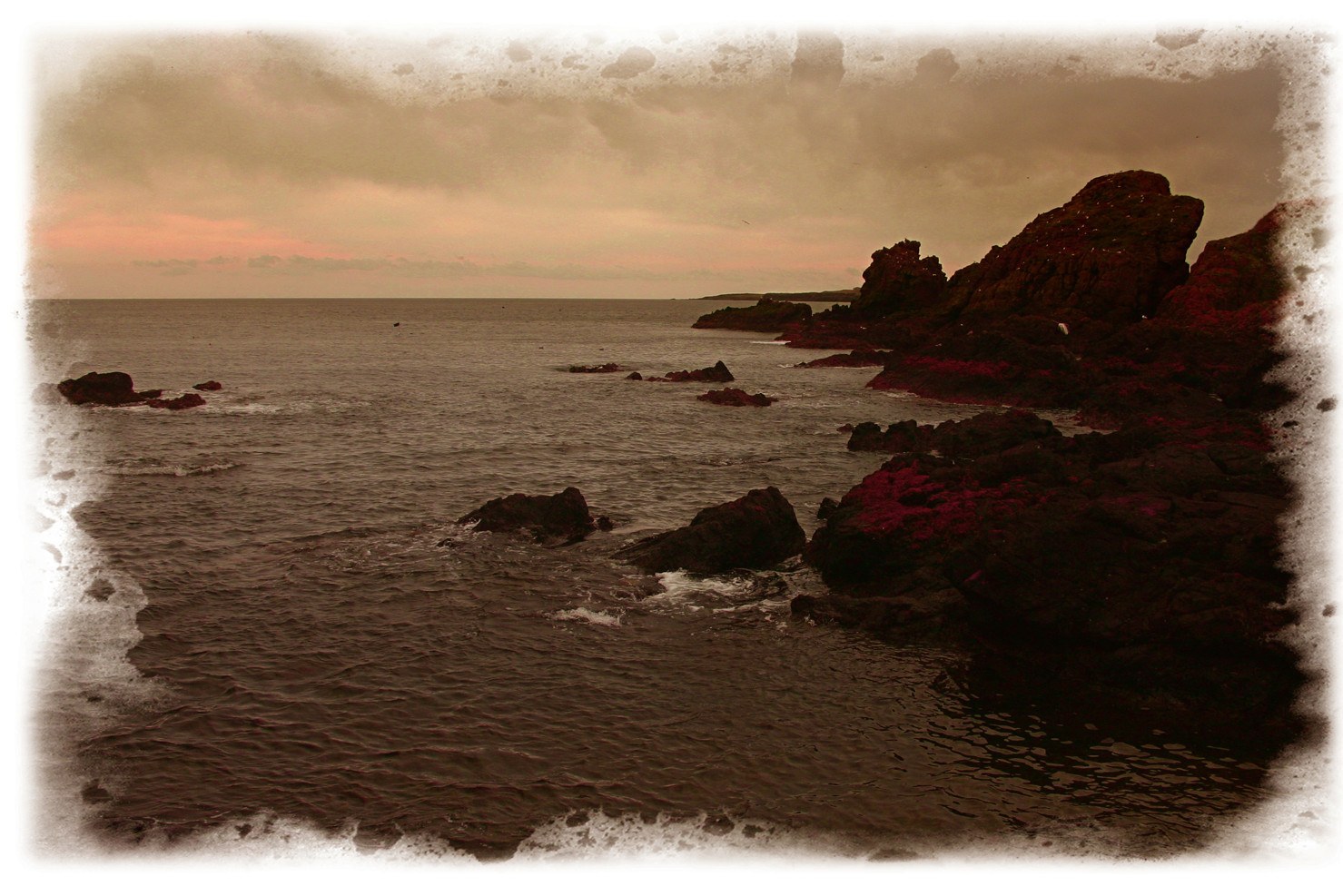 coastal rocks at sunset