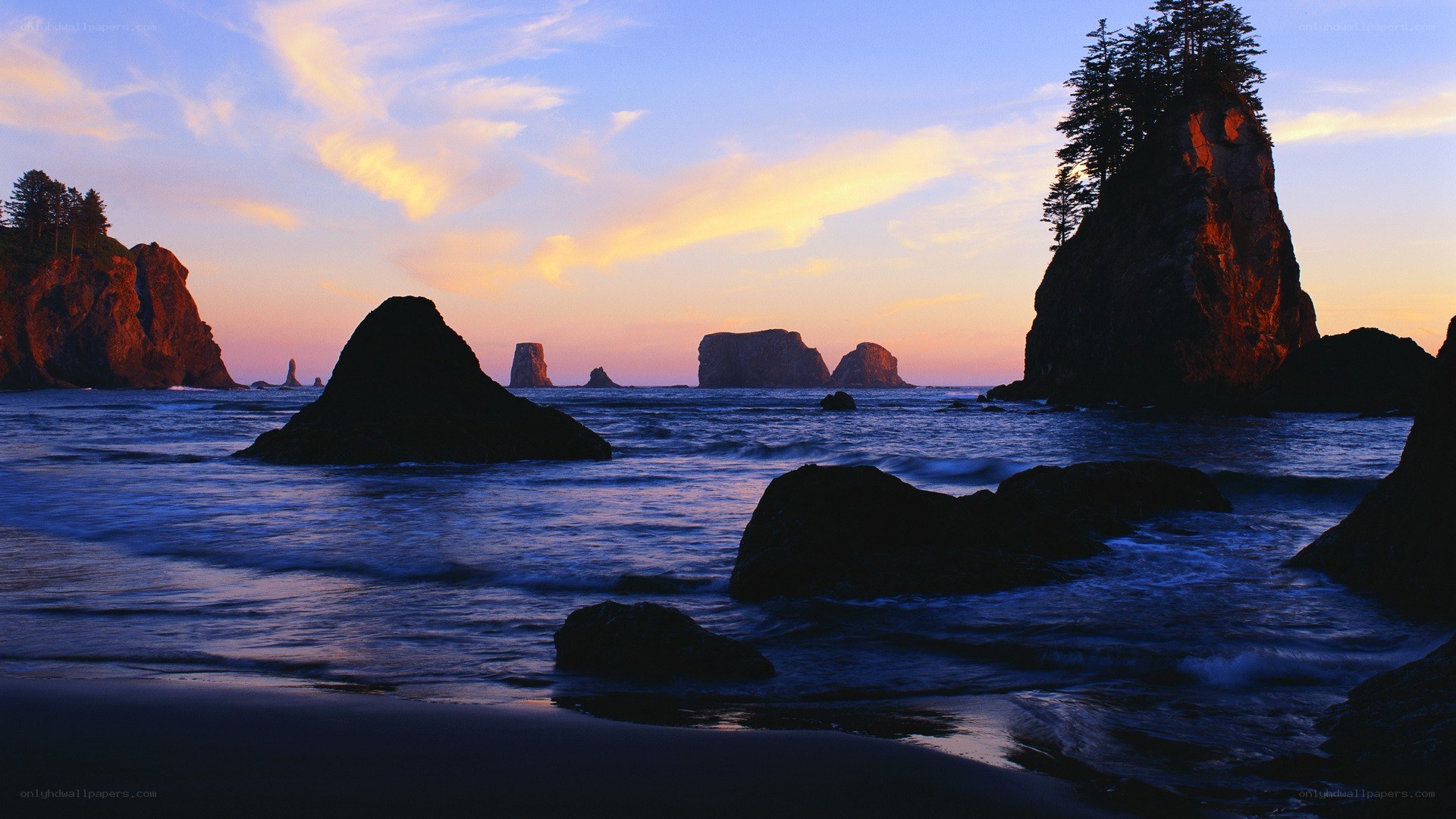 coastal rocks at sunset