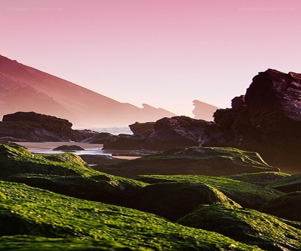 coastal rocks at sunset