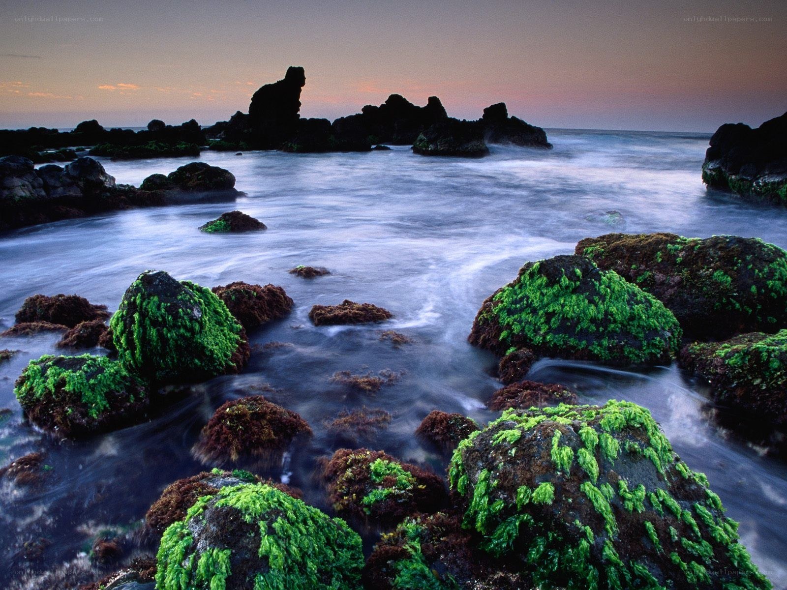 coastal rocks at sunset