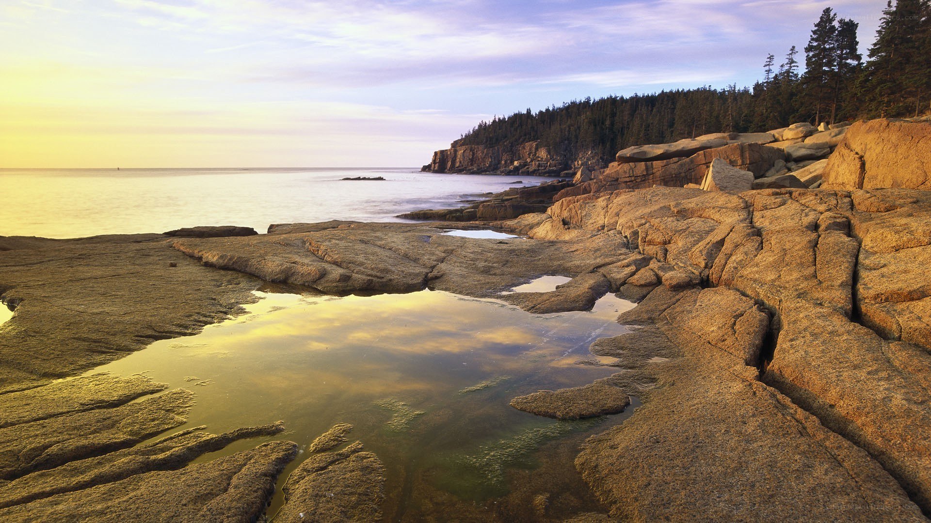 coastal rocks at sunset
