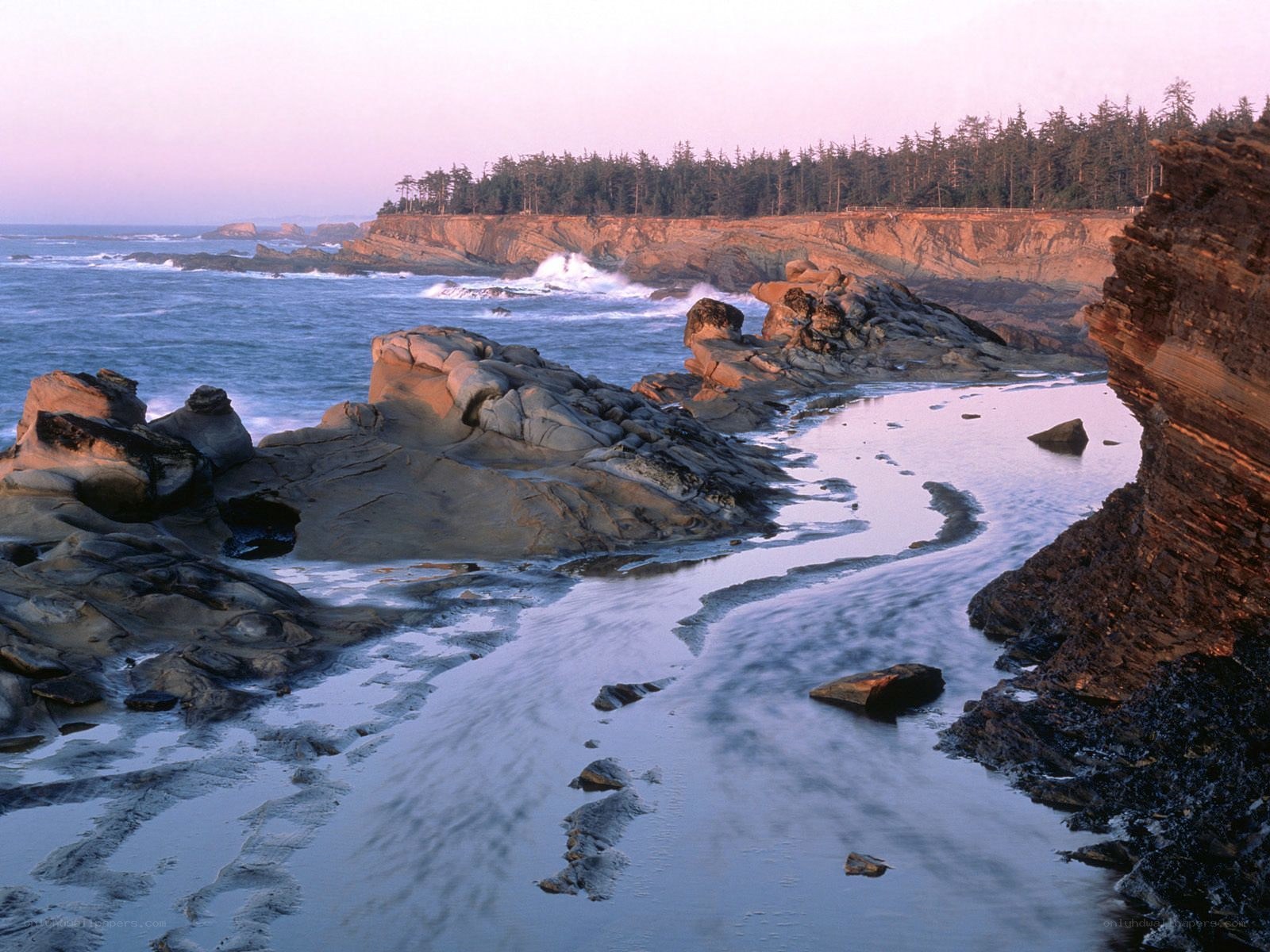 coastal rocks at sunset
