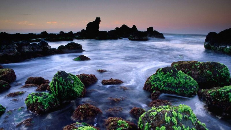 coastal rocks at sunset