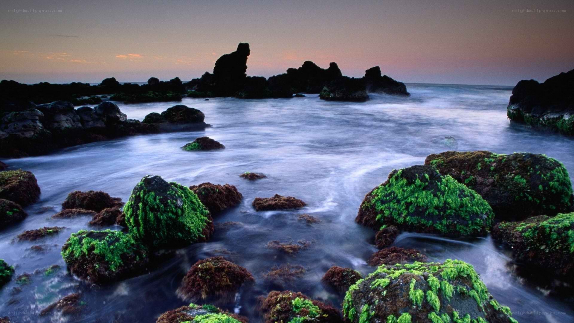 coastal rocks at sunset