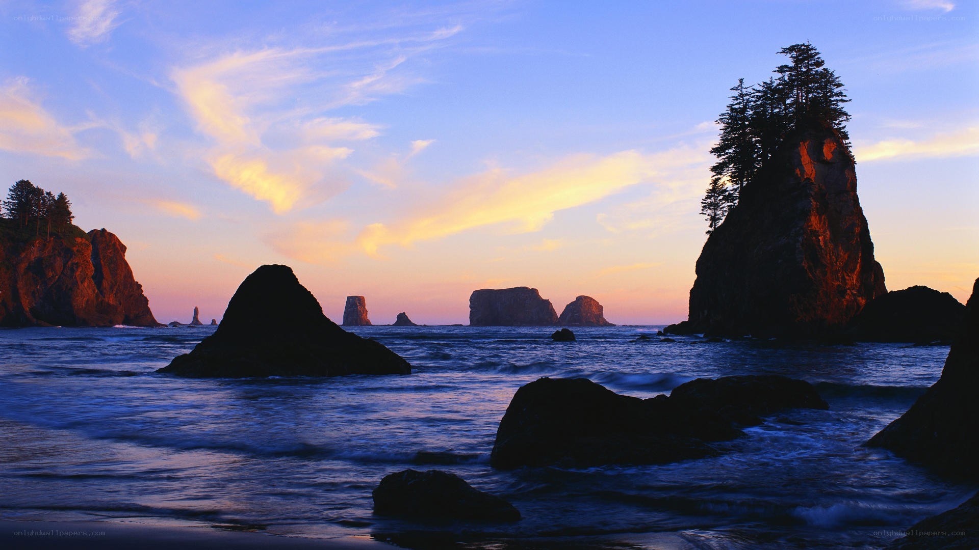 coastal rocks at sunset