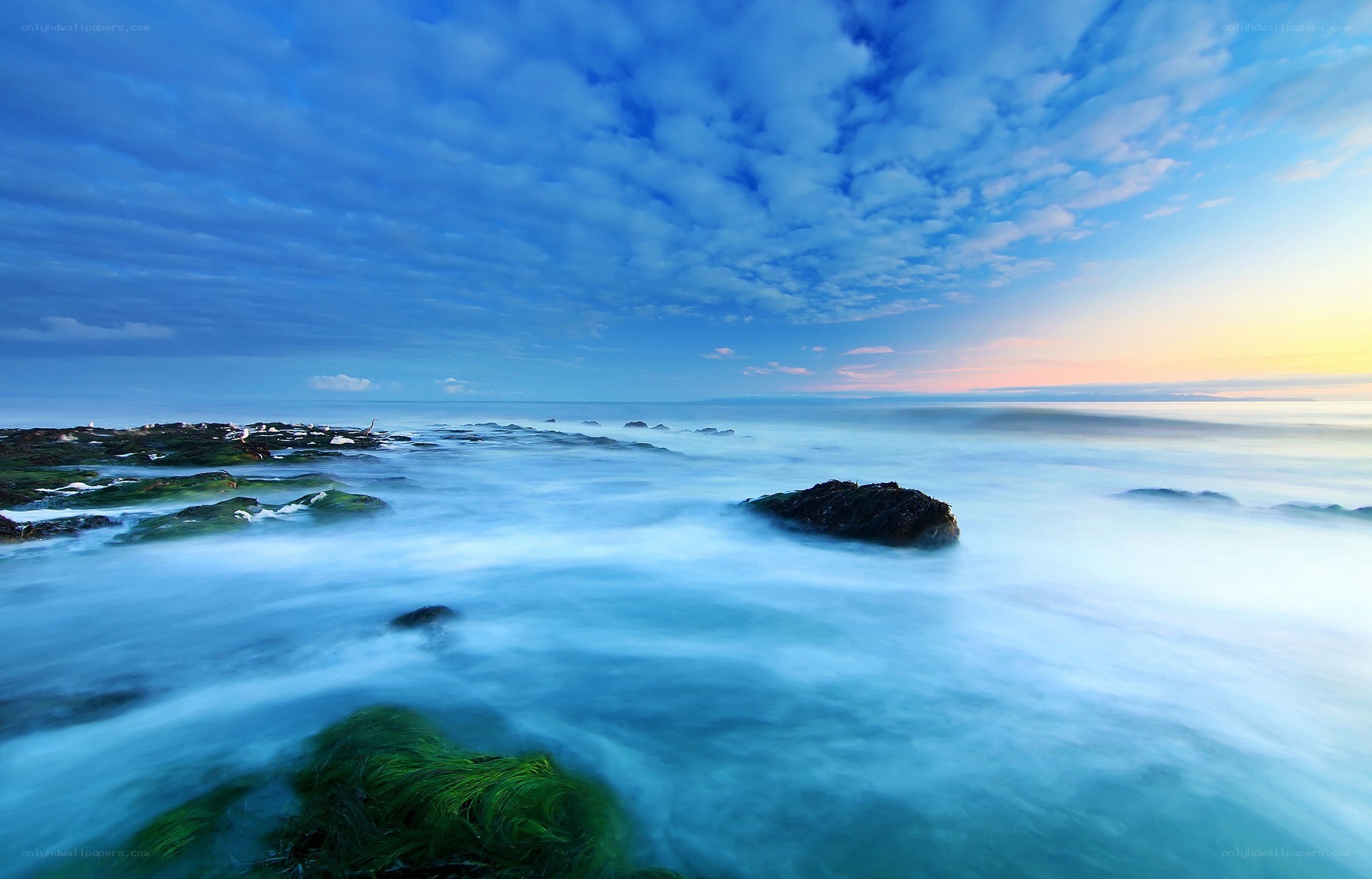 Coastal rocks at sunset