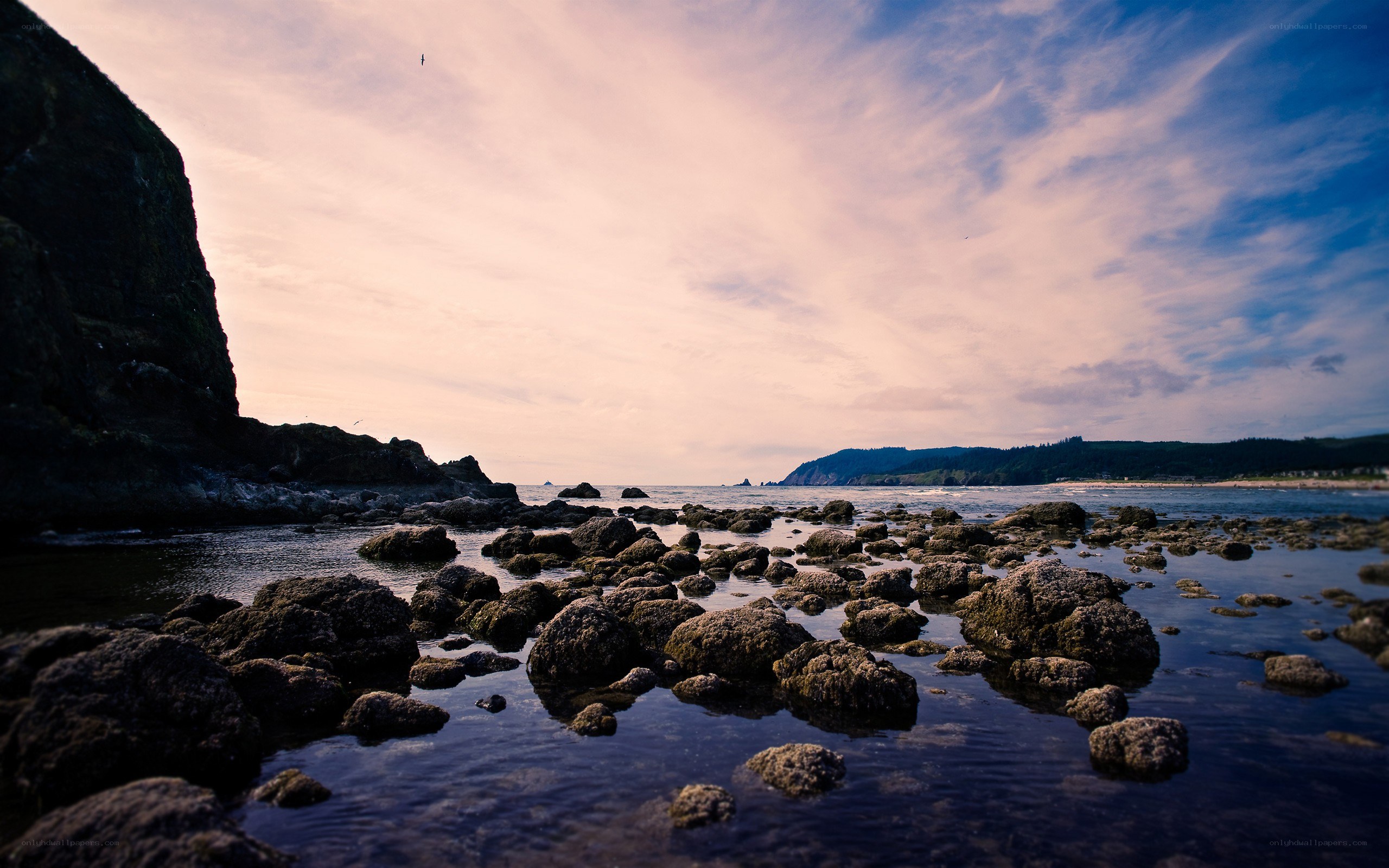 coastal rocks at sunset