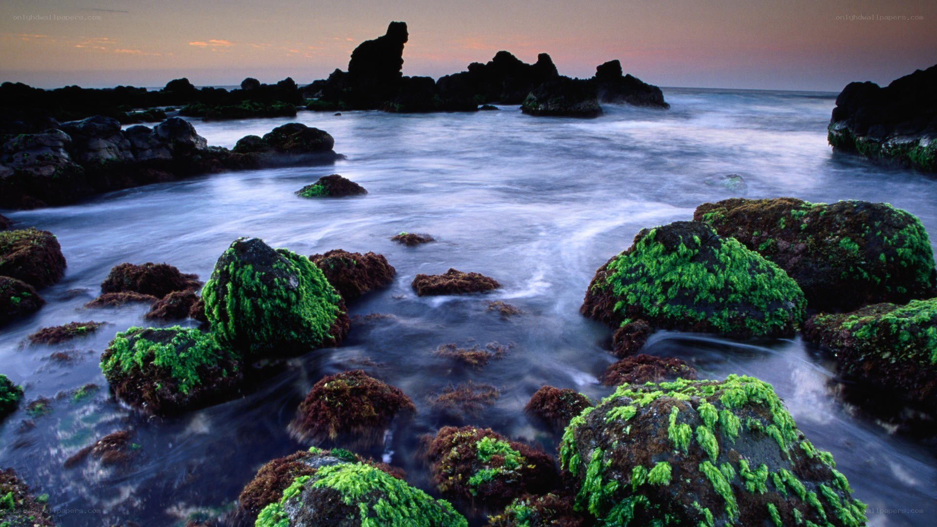 coastal rocks at sunset