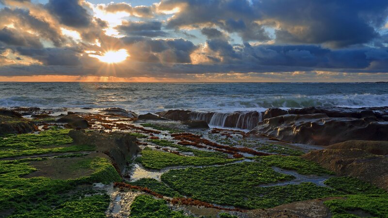 Coastal Rocks at Sunset — Green, Dramatic