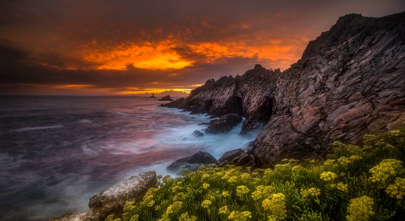 Coastal Rocks at Sunset — Orange, Dramatic, Photograph, Ocean, Sky, Flowers