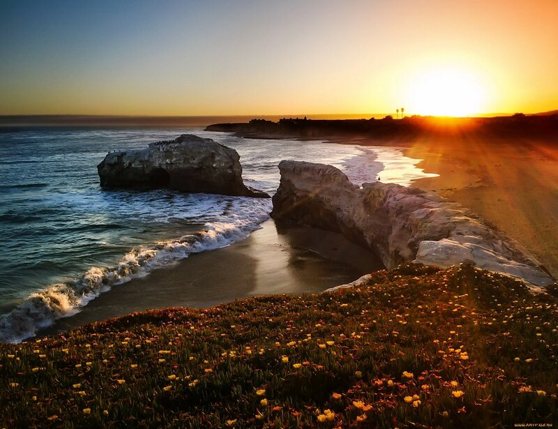 Coastal Rocks at Sunset — Orange, Serene, Photograph, Ocean, Flowers
