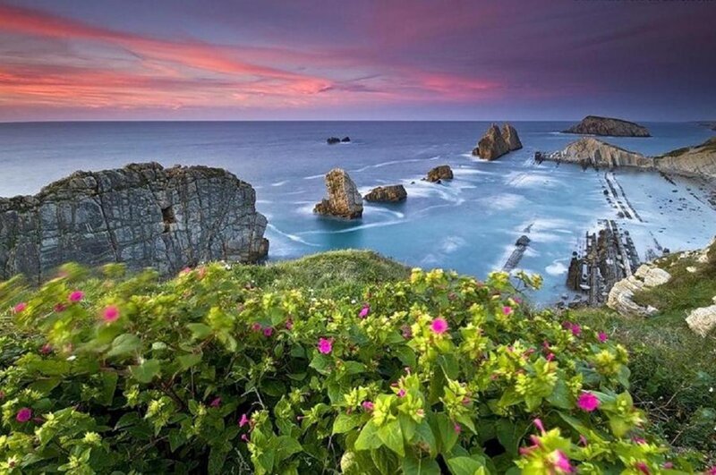 Coastal Rocks at Sunset — Purple, Dramatic, Photograph, Flowers