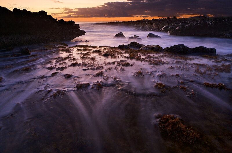 Coastal Rocks at Sunset — Purple