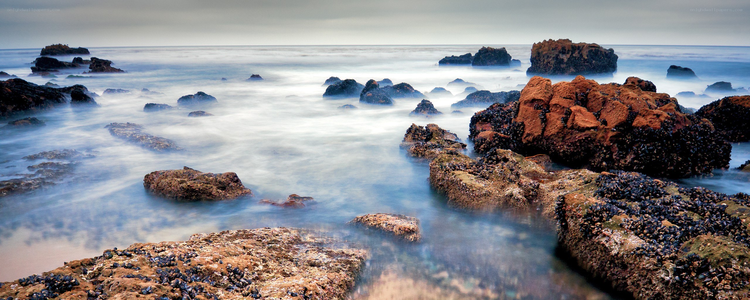 coastal rocks at the ocean