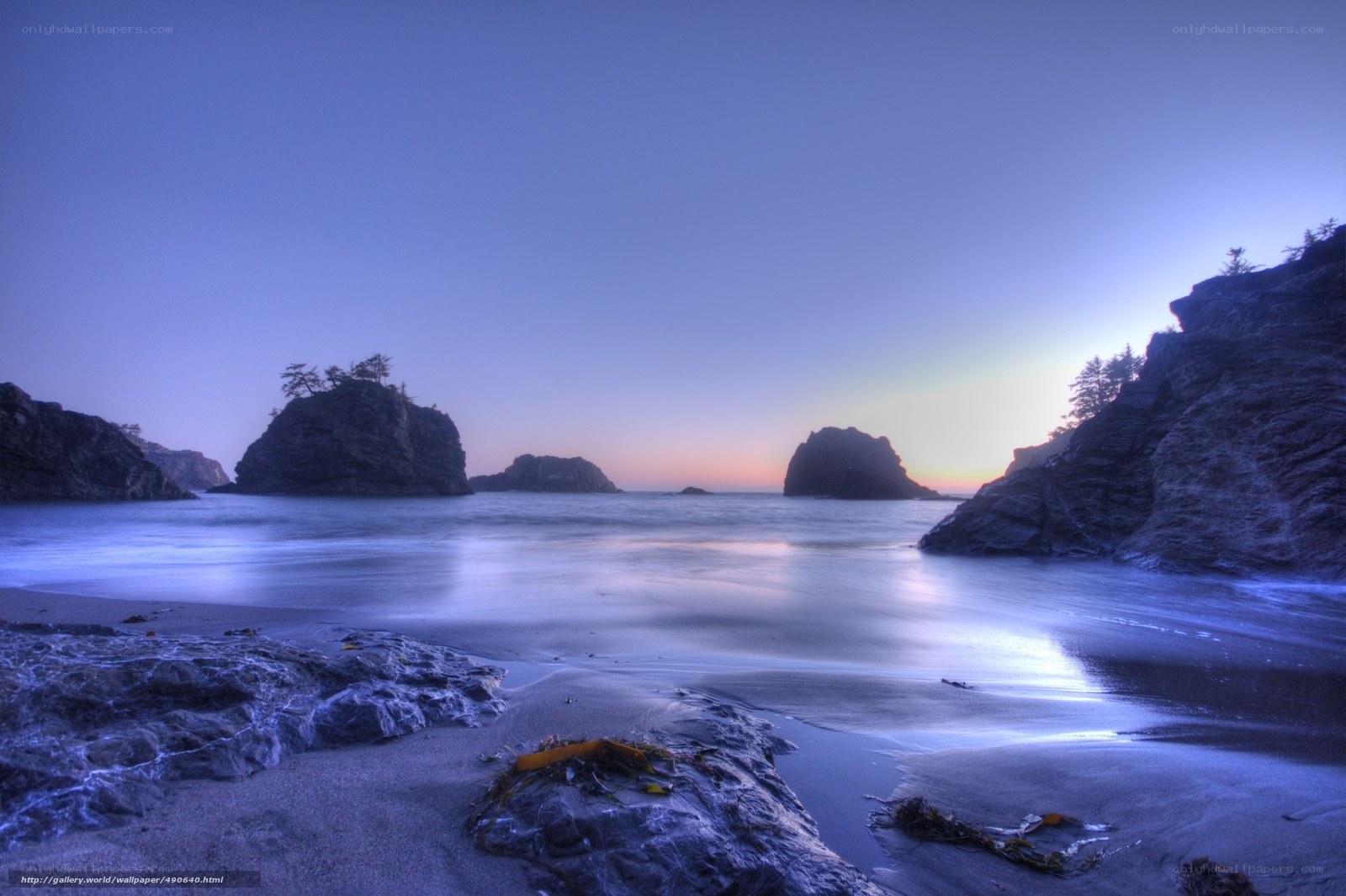 coastal rocks at twilight