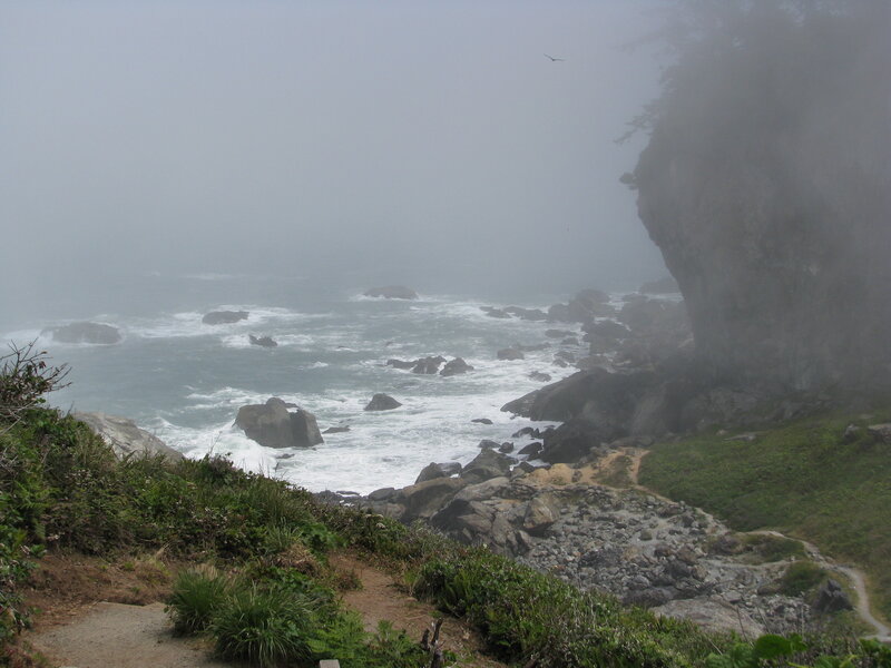 Coastal Rocks in Fog