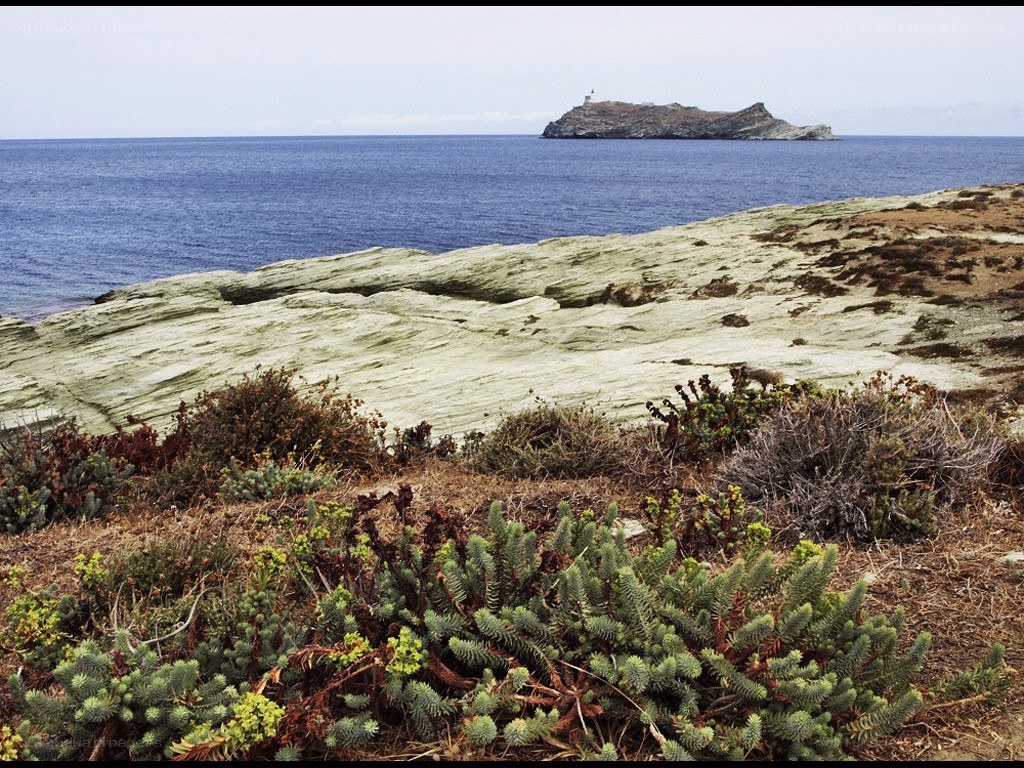 Coastal rocks with distant island