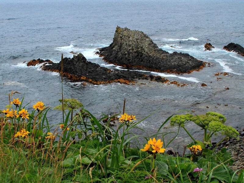 Coastal Rocks with Flowers — Green