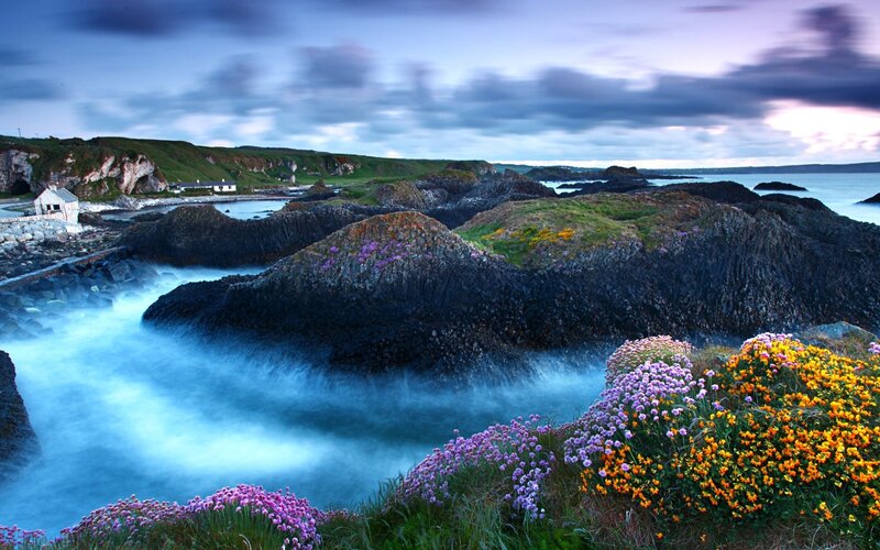 Coastal Rocks with Flowers