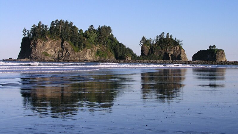 coastal rocks with forest reflection