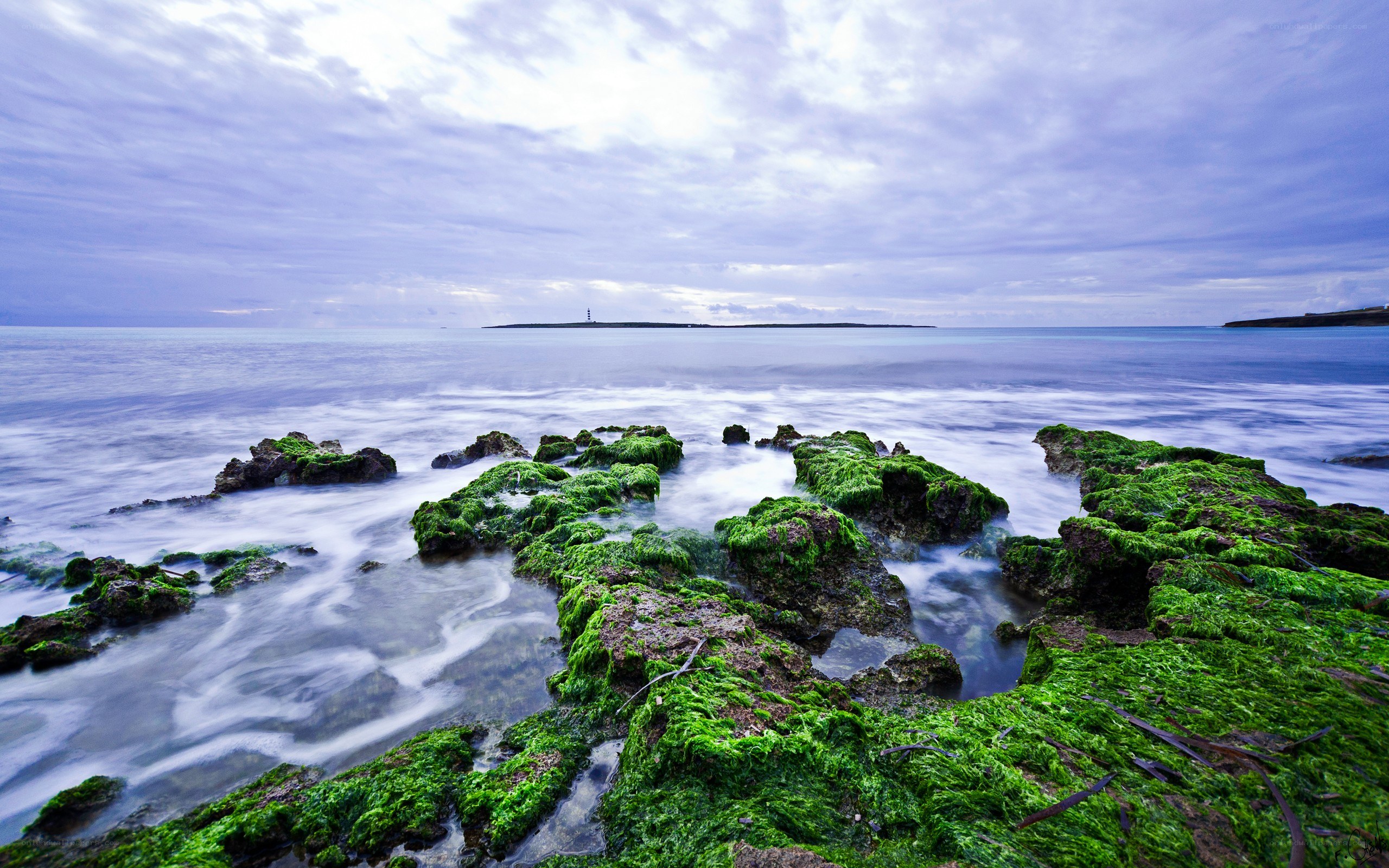 coastal rocks with green algae