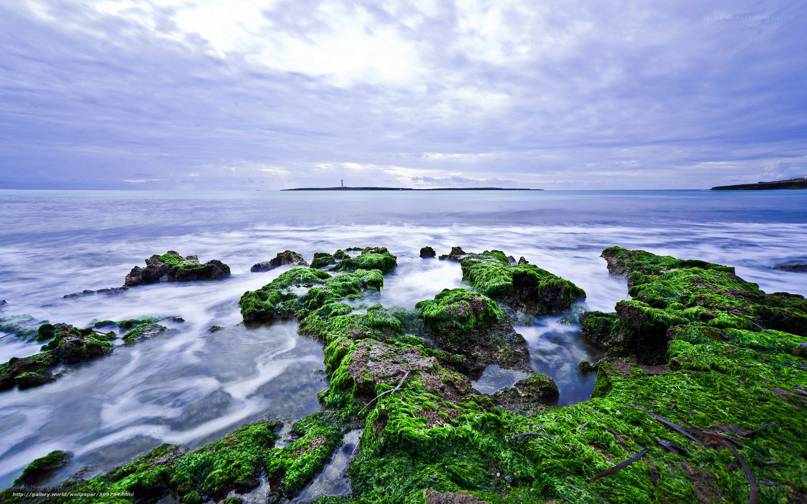 Coastal rocks with green algae