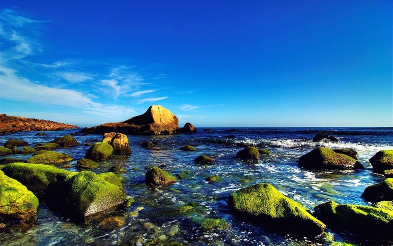 coastal rocks with green moss