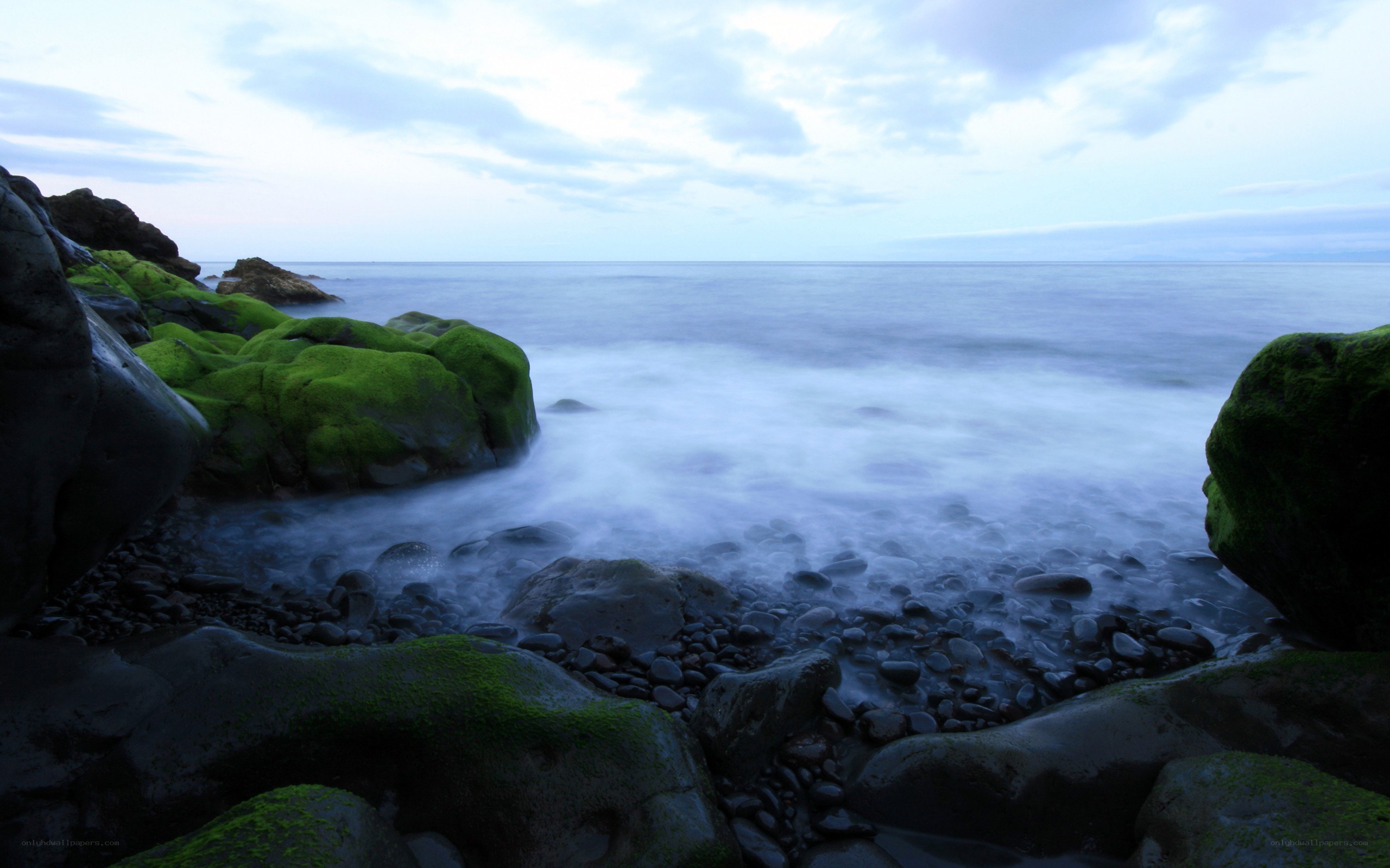 coastal rocks with green moss